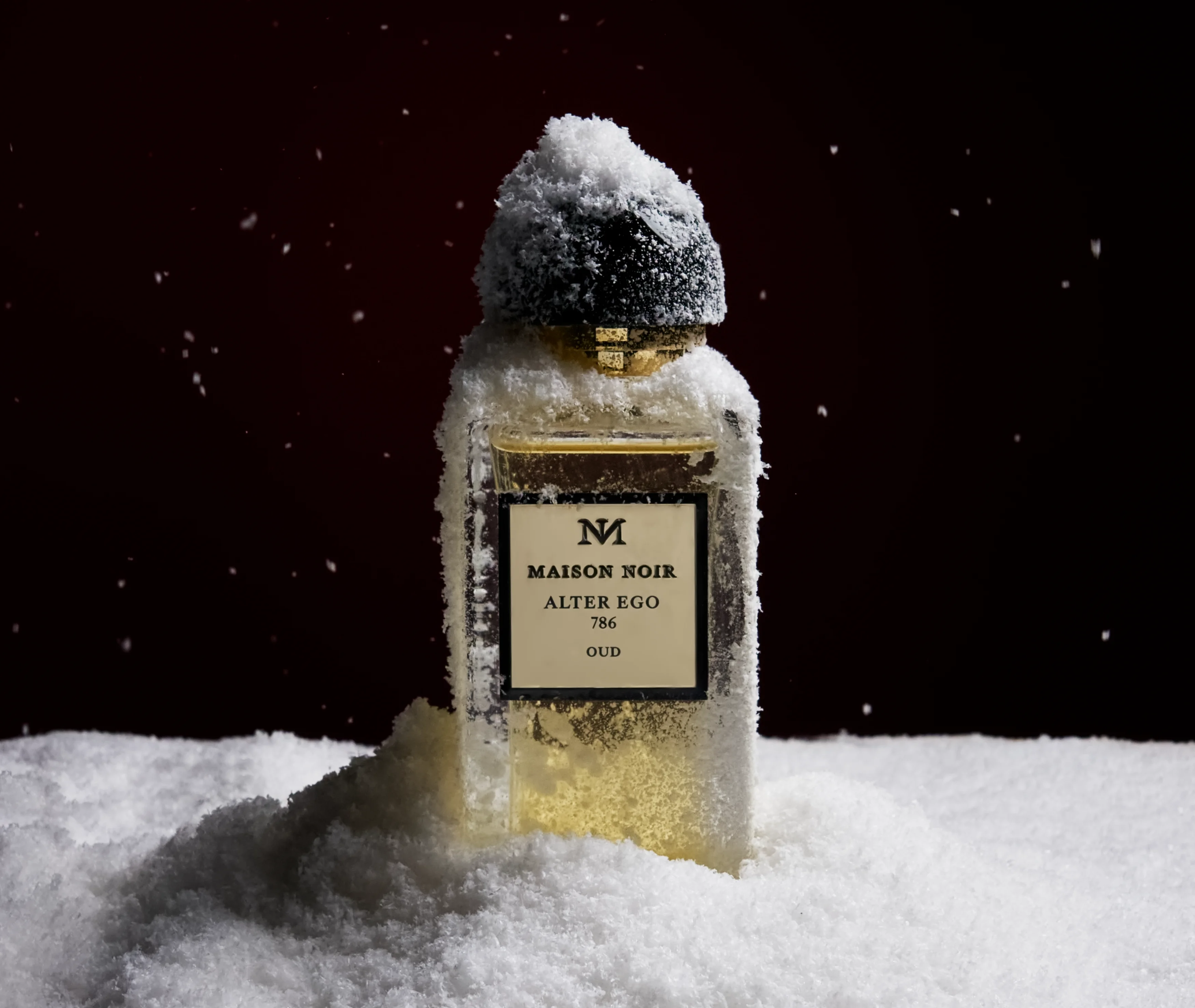 A flacon standing in deep snow under low winter light