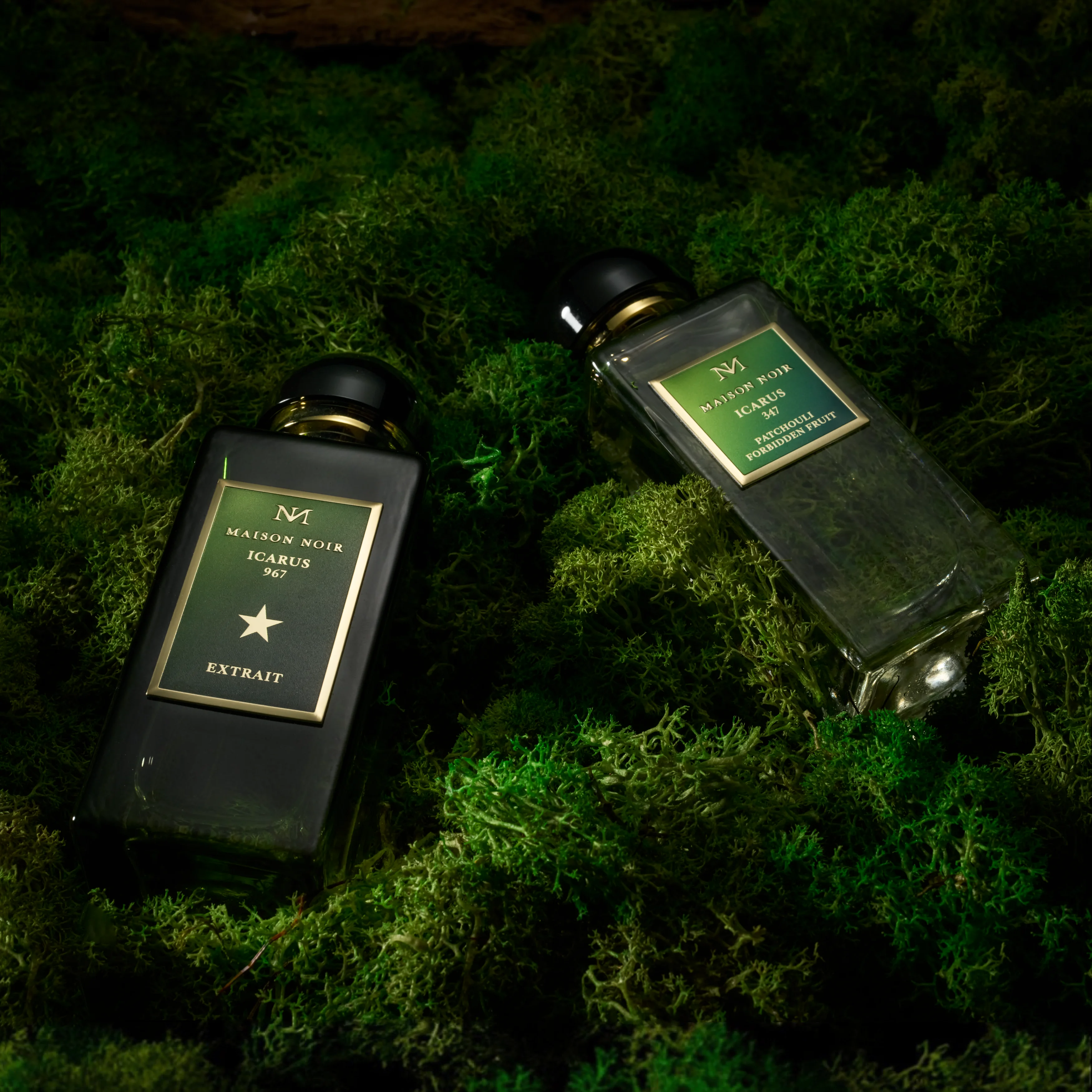 Two Maison Noir flacons standing together against dark green moss